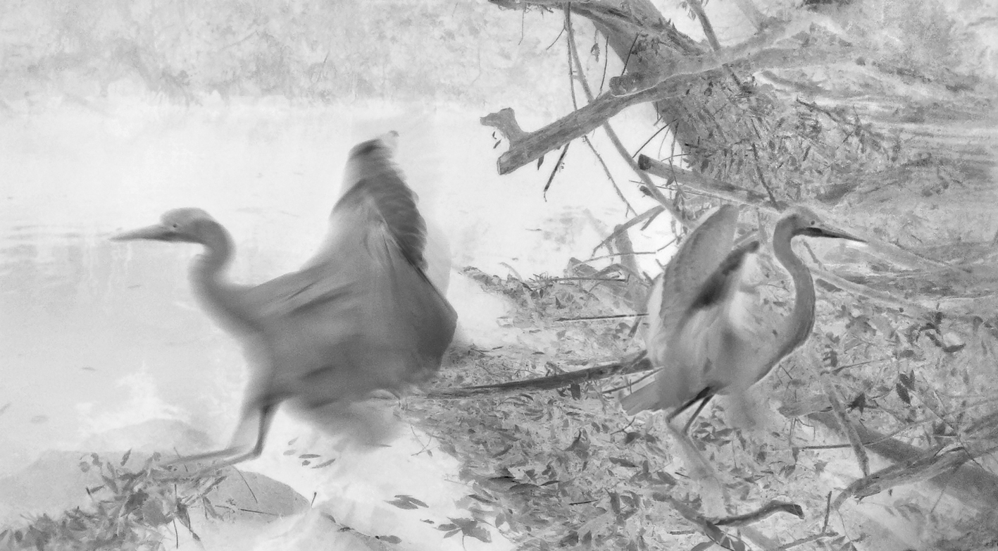 Dürr, Wolfgang – Fotoarbeit