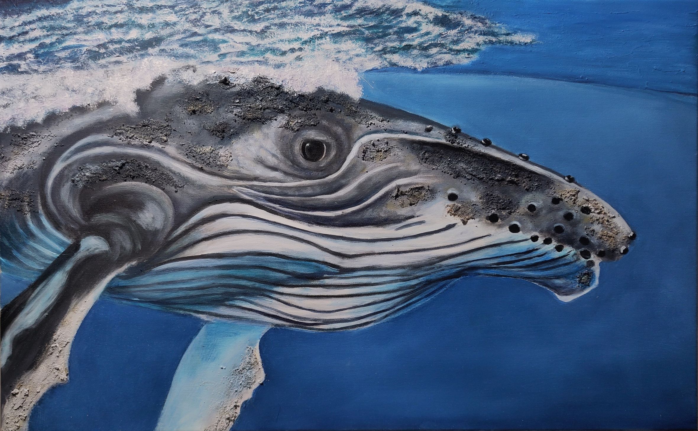 Wünnenberg, Heike – Buckelwal